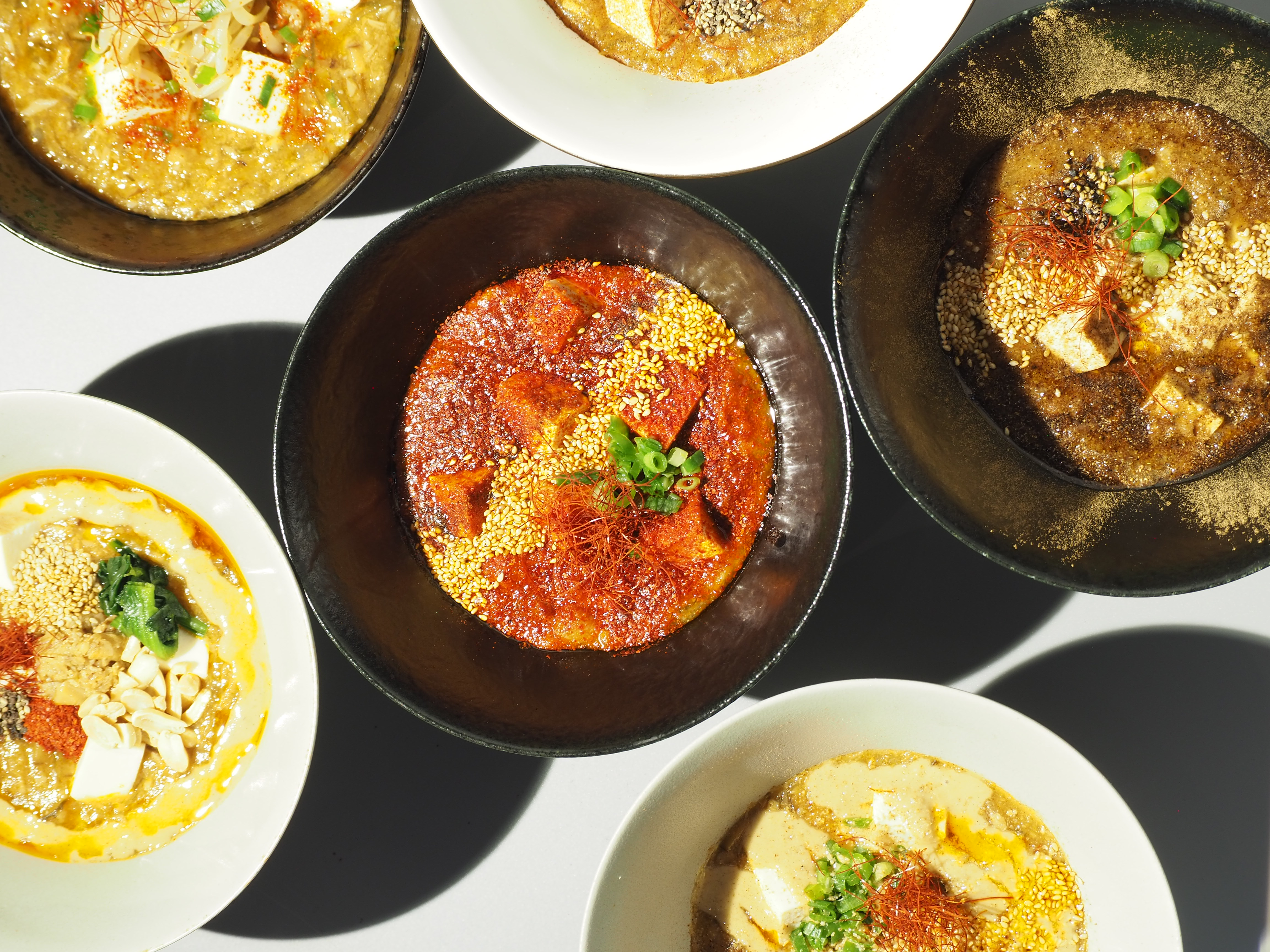 麻婆豆腐 Mapo Tofu Varieties